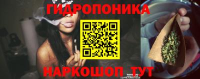 ECSTASY Нальчик