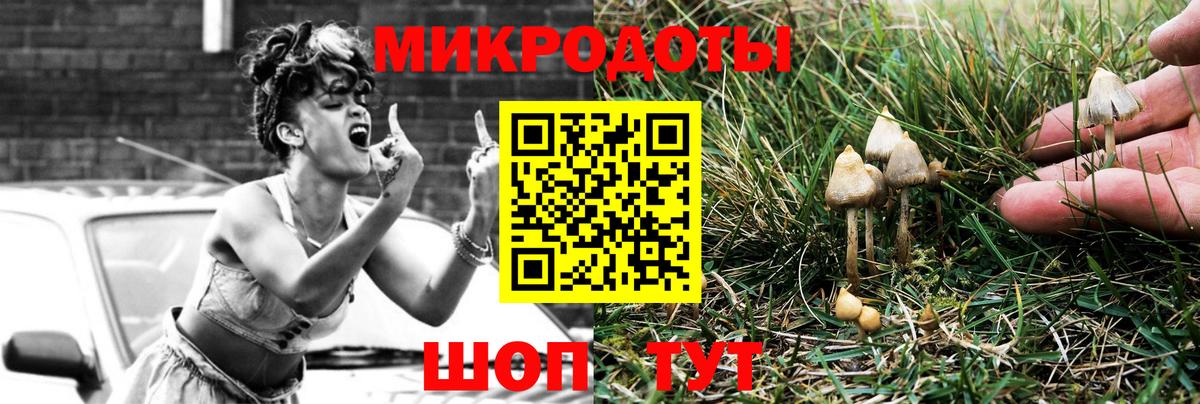 Галлюциногенные грибы GOLDEN TEACHER  Вход с VPN  Горно-Алтайск 